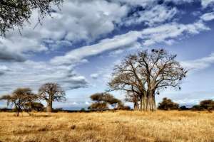 Kenya for US citizens Kenya for US citizens